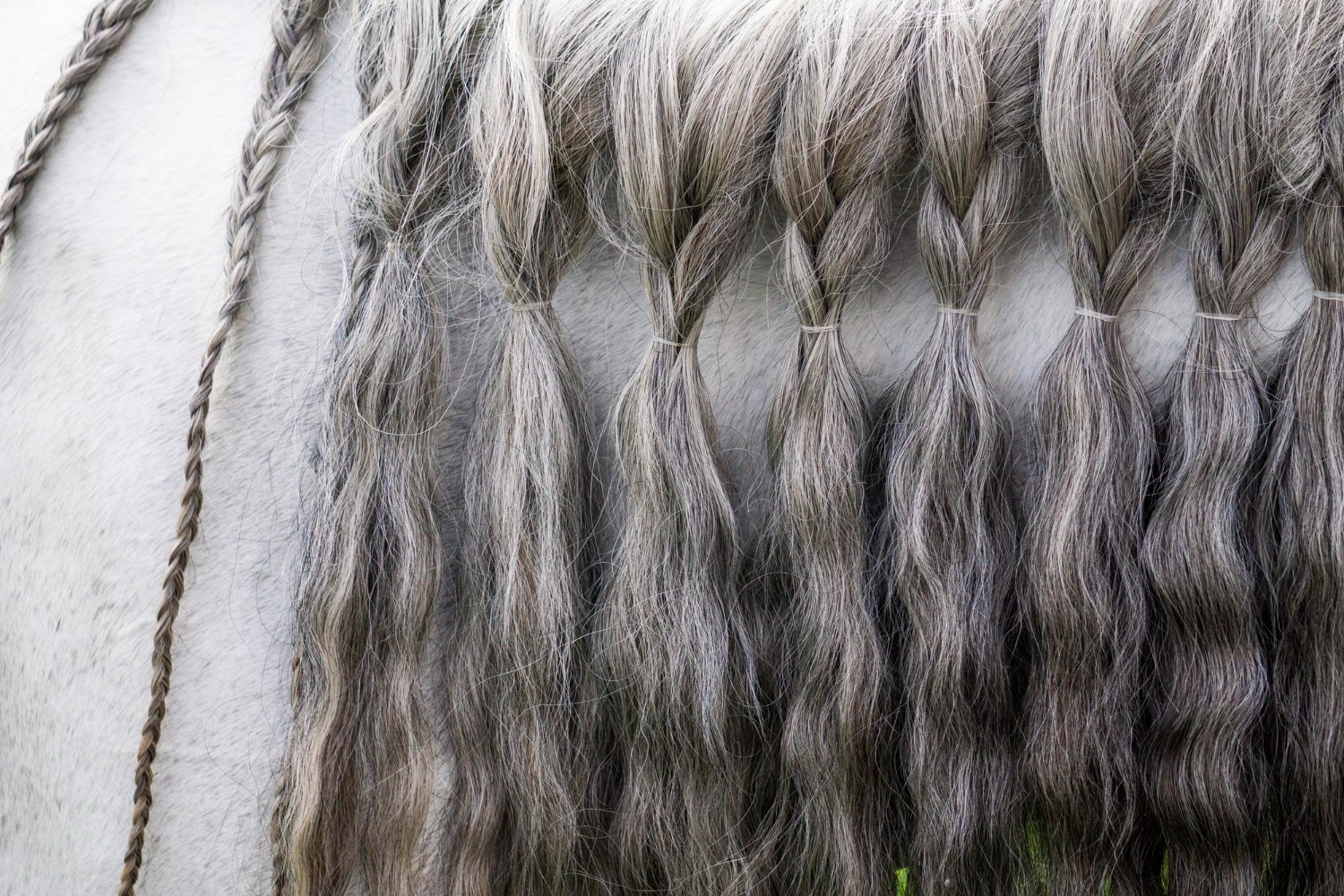 Permium Gray Bulk Human Hair Suppliers in Tamil Nadu